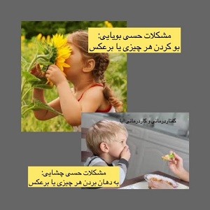 حاسة الشم والتذوق